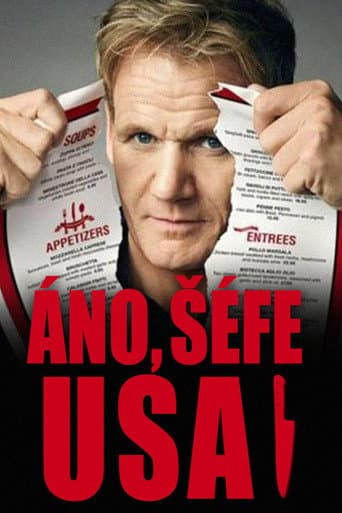 Áno, šéfe USA