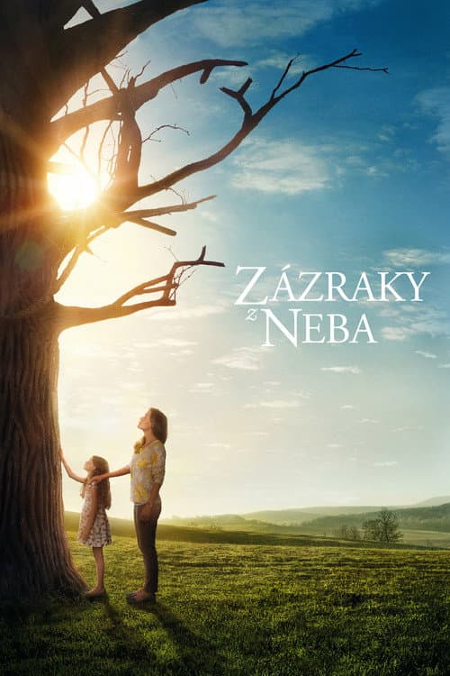 Zázraky z neba (2016) – plakát