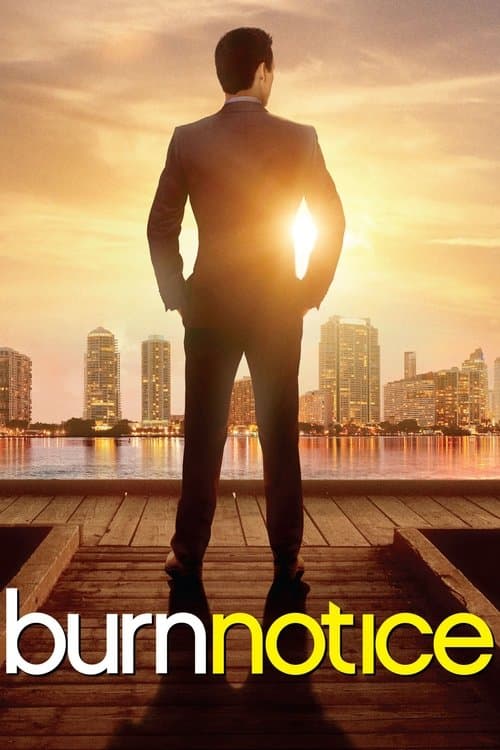 Burn Notice (2007) – plakát